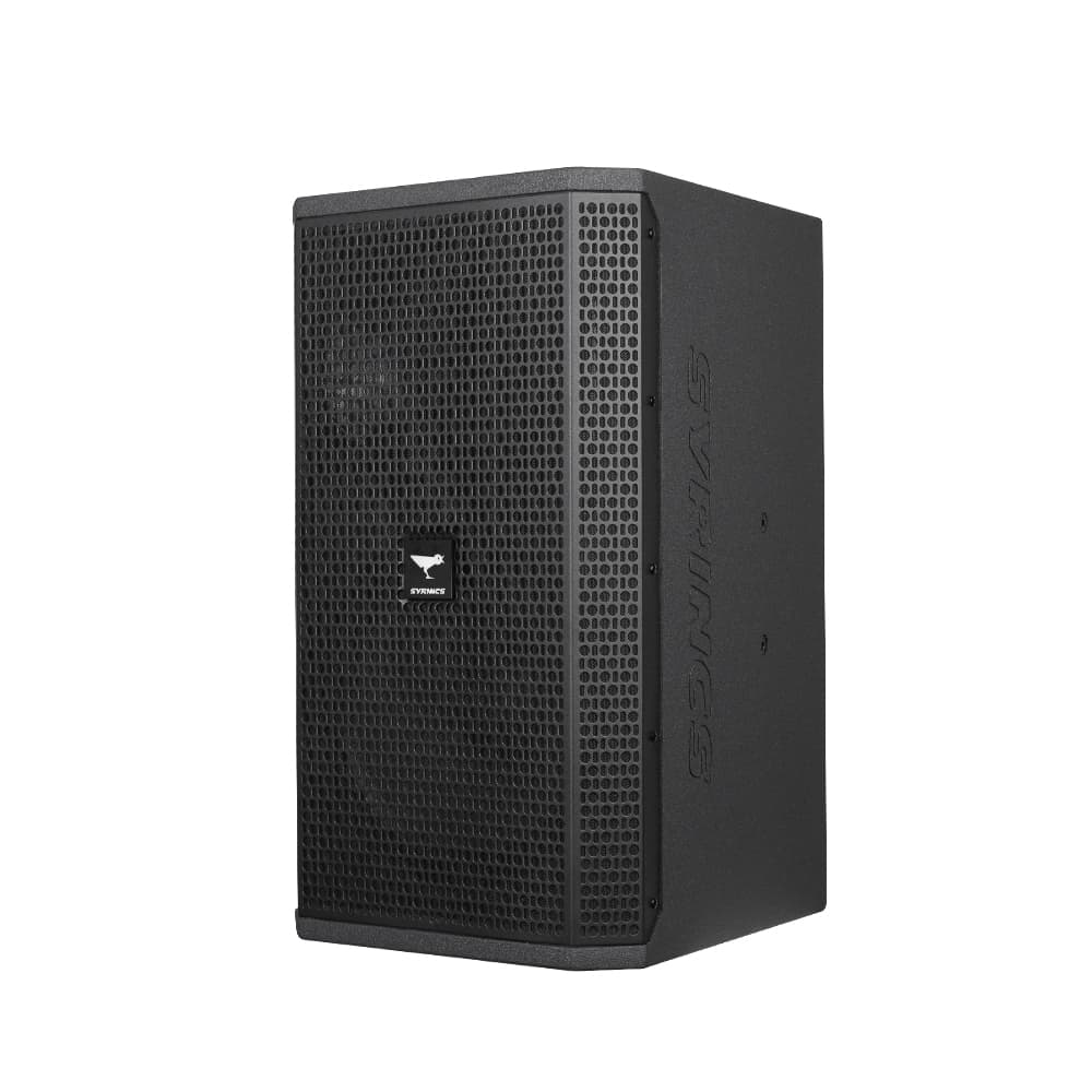 CK-12 12-inch rear-ported built-in two-way speaker