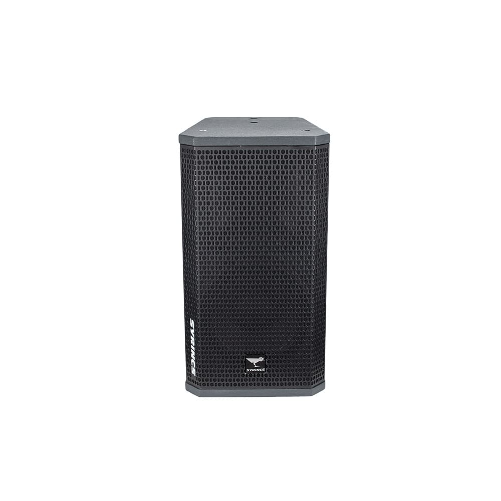 FOCUS100 10 inch Two Way Full Range Speaker