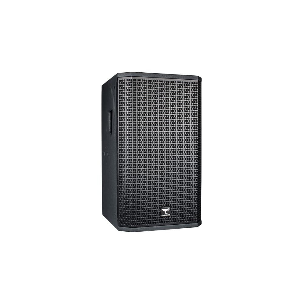FOCUS133 14 inch two way full frequency speaker